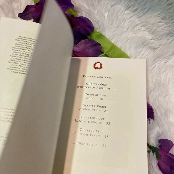 “Meet Addy” Book Paperback The American Girls Collection by Connie Porter - Picture 6 of 8